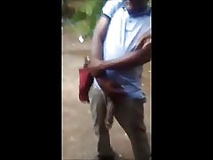 Montrant la bite de cheval pour salopes