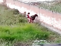 Chienne donnant le cu sur avenida brasil