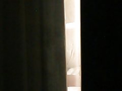 Holiday inn (série) partie ii