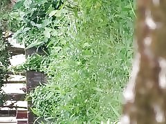 Suivre les Sri-lankais couple en plein air dans la marche du Parlement